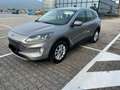 Ford Kuga 1.5 ecoblue Titanium Business 2wd 120cv auto Grigio - thumbnail 5