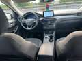 Ford Kuga 1.5 ecoblue Titanium Business 2wd 120cv auto Grigio - thumbnail 4