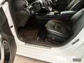 Mercedes-Benz CLA 250 SB AMG+PANO+LED+AHK+MBUX+AMBIENTE+RÜ-KAM Weiß - thumbnail 12