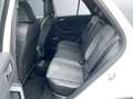 Volkswagen T-Roc 2.0 TDI DSG R-Line 4Motion AHK Pano Navi L Blanc - thumbnail 13