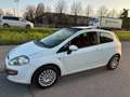 Fiat Punto Evo 1.2 Dynamic 65cv*NEOPATENTATI Biały - thumbnail 1