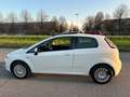 Fiat Punto Evo 1.2 Dynamic 65cv*NEOPATENTATI Biały - thumbnail 6