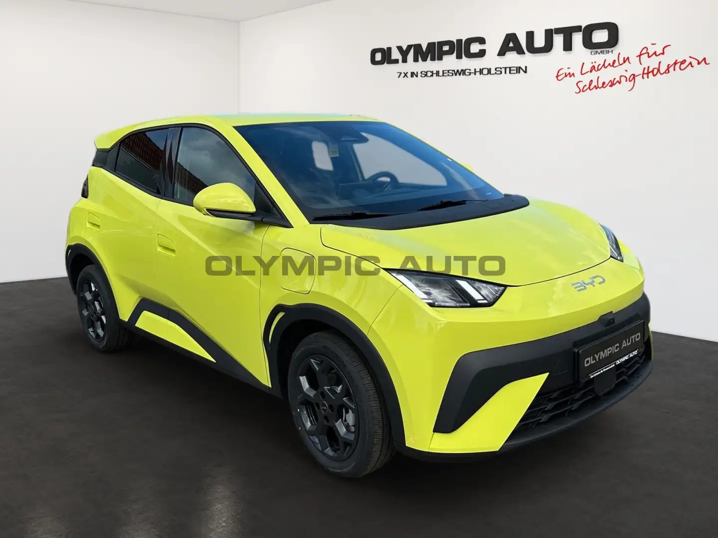 BYD Dolphin Dolphin Surf Comfort 43kWh 360°KAMERA LED SITZHZ Grün - 2