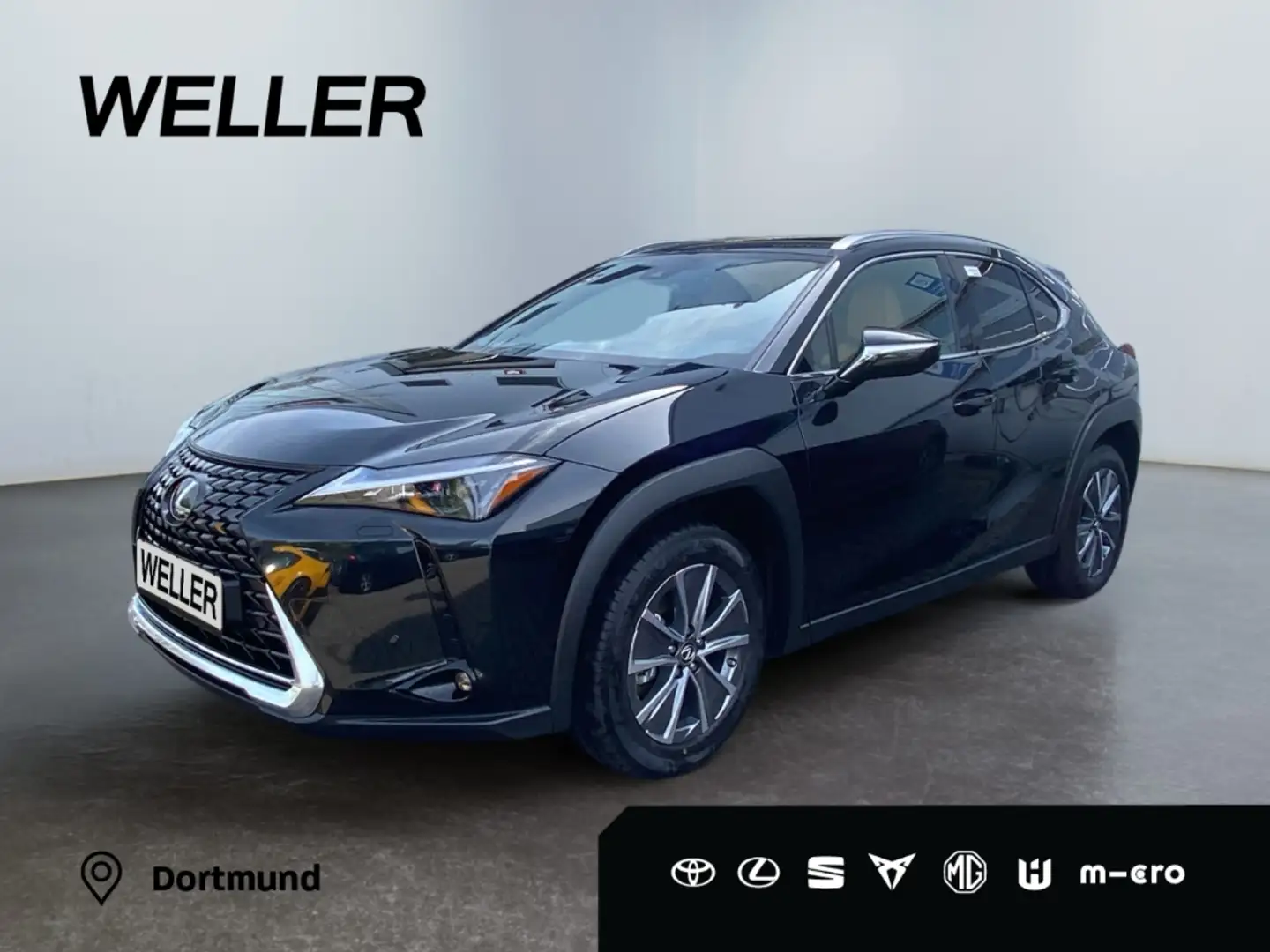 Lexus UX 300e Executive Paket/CarPlay/Tempomat /Sitz und Lenkrad Negru - 1