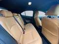 Lexus UX 300e Executive Paket/CarPlay/Tempomat /Sitz und Lenkrad Negru - thumbnail 14
