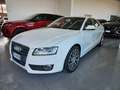 Audi A5 A5 I 2007 Coupe Coupe 2.7 V6 tdi Ambition multitro Blanc - thumbnail 3