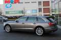 Audi A4 Avant 40 TDI qu. S-Line Pano AHK 18" Rollo´s Gris - thumbnail 5