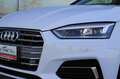 Audi A5 SPB 2.0 TDI 190 CV S tronic Business Sport Weiß - thumbnail 16