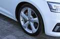 Audi A5 SPB 2.0 TDI 190 CV S tronic Business Sport Weiß - thumbnail 17
