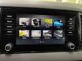 Skoda Karoq Karoq 1.5 TSI ACT DSG Executive CON PROMO PLUS Bleu - thumbnail 22