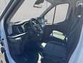 Ford Transit Doppelkabine Pritsche Trend 350 L3 VA  Aut Blanc - thumbnail 9