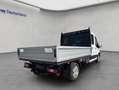 Ford Transit Doppelkabine Pritsche Trend 350 L3 VA  Aut Blanc - thumbnail 5