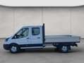 Ford Transit Doppelkabine Pritsche Trend 350 L3 VA  Aut Blanc - thumbnail 2
