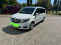 Mercedes-Benz V 220 V 220 CDI/d, 250 CDI/BT/d EDITION lang (447.813) Weiß - thumbnail 2