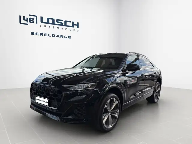 Audi Q8 view 15