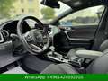 Kia ProCeed / pro_cee'd GT JBL|KAMERA|ACC|BI-LED - thumbnail 11