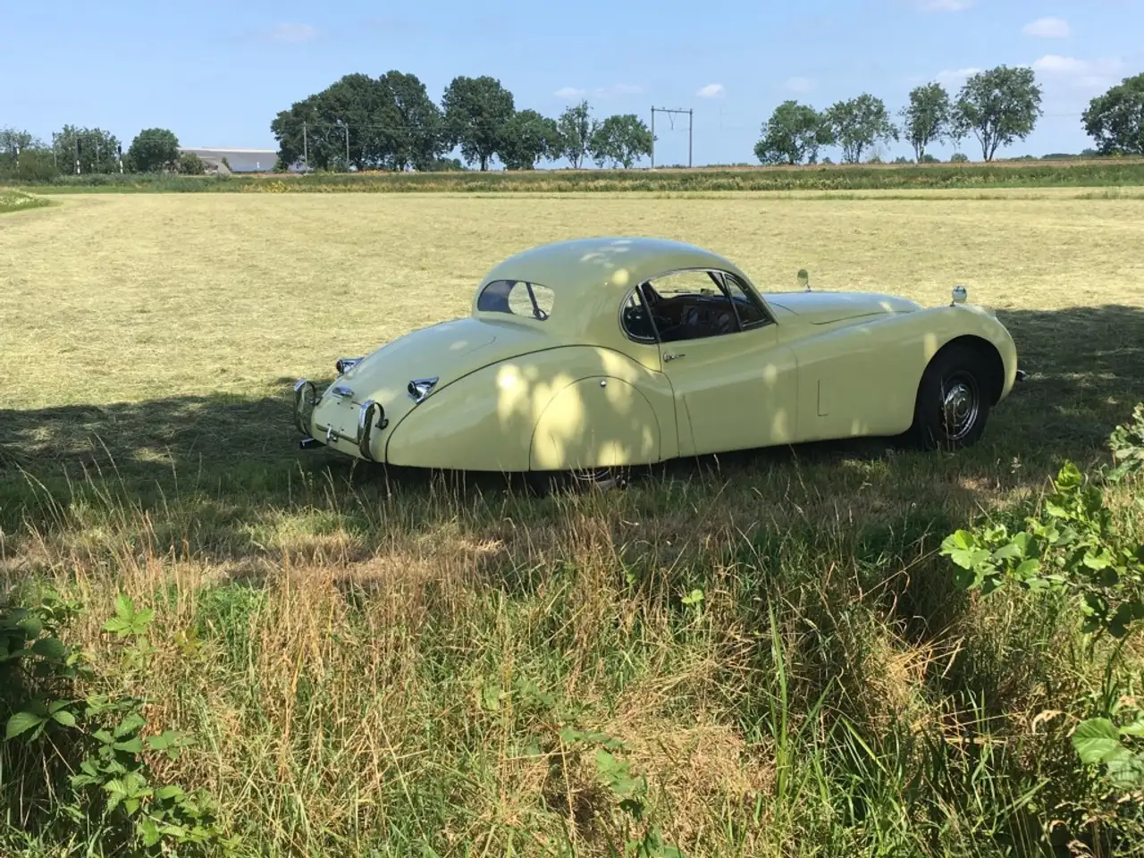 Jaguar XK 120 Coupe, foto 5