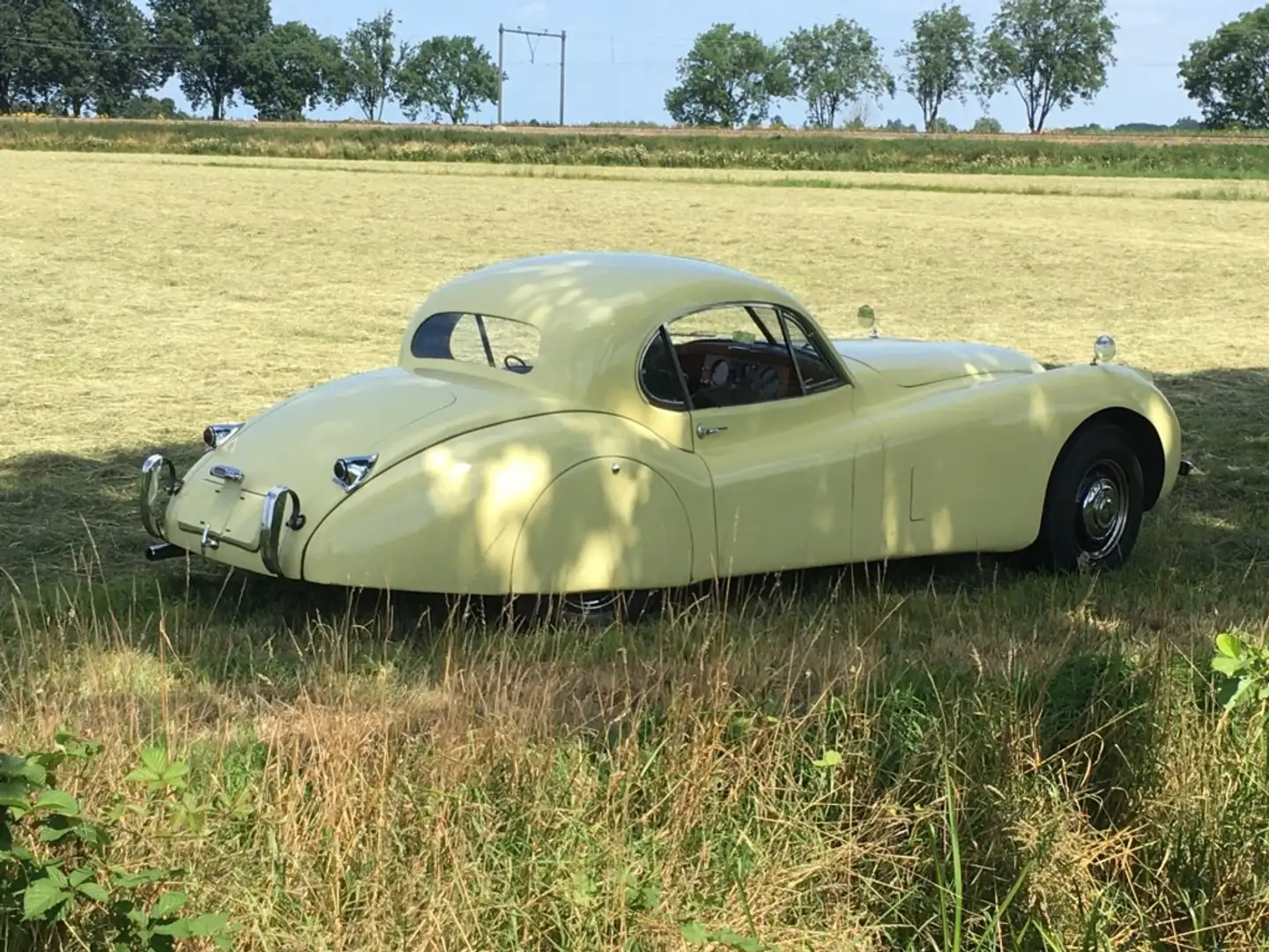 Jaguar Coupe Gelb - 1