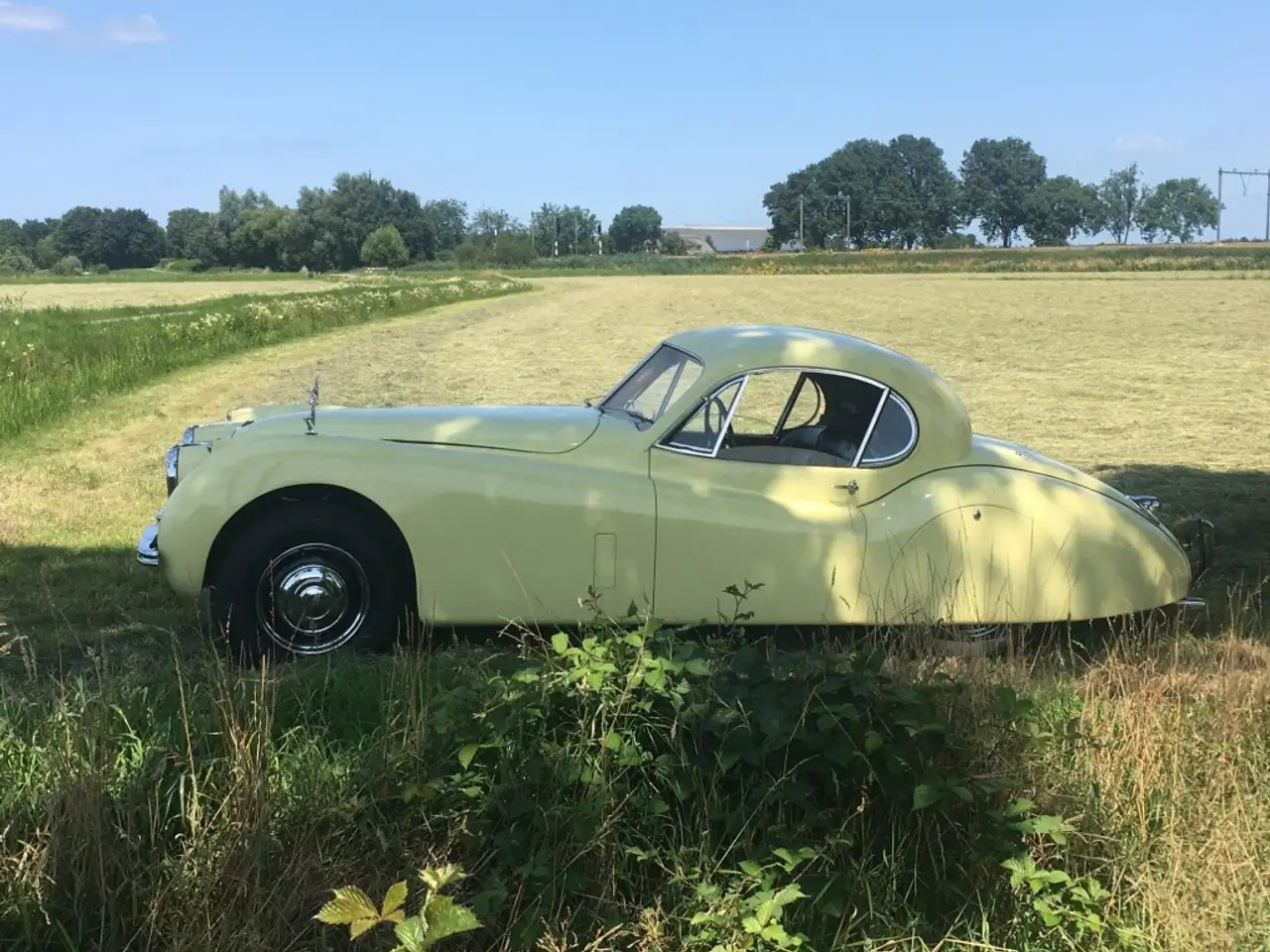 Jaguar XK 120 Coupe, foto 2