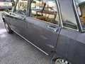 Alfa Romeo 1750 Alfa Romeo 1750 1° serie da restaurare Braun - thumbnail 7