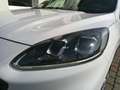 Ford Kuga 2,5 Duratec PHEV ST-Line X Aut. Weiß - thumbnail 9