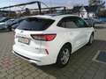 Ford Kuga 2,5 Duratec PHEV ST-Line X Aut. Weiß - thumbnail 6