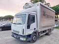 Iveco Daily eurocargo sponda idraulica Refrigerato Bianco - thumbnail 2