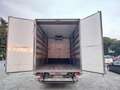 Iveco Daily eurocargo sponda idraulica Refrigerato Bianco - thumbnail 11