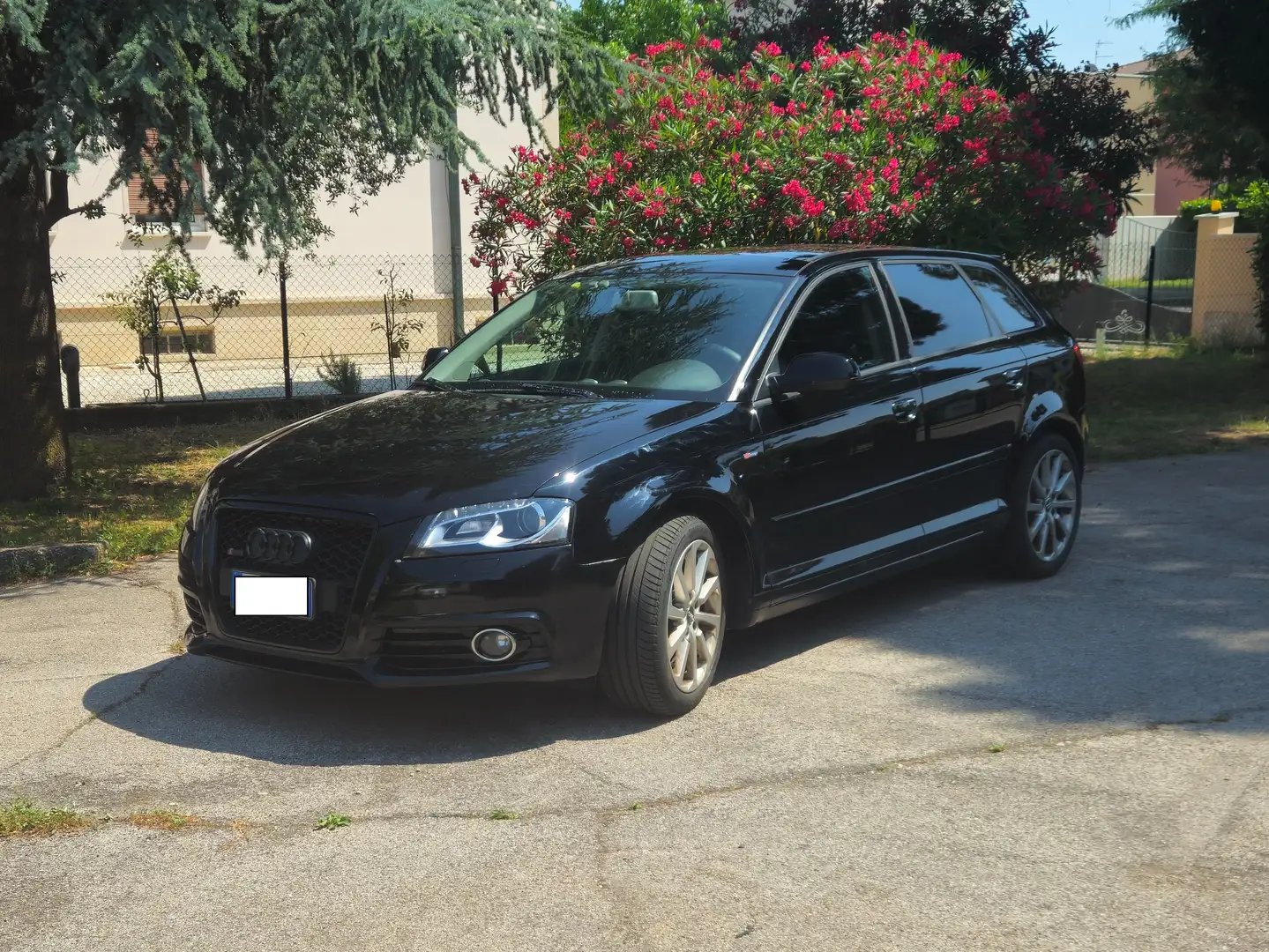 Audi A3 A3 SPB 1.6 tdi Young Edition 90cv (neopatentati) Nero - 1