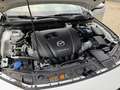 Mazda 3 2.0 e-SkyActiv-G M Hybrid 122 Blanc - thumbnail 22