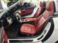 BMW Z4 Roadster sDrive 23i /XENON /LEDER / PDC / TOP Weiß - thumbnail 9