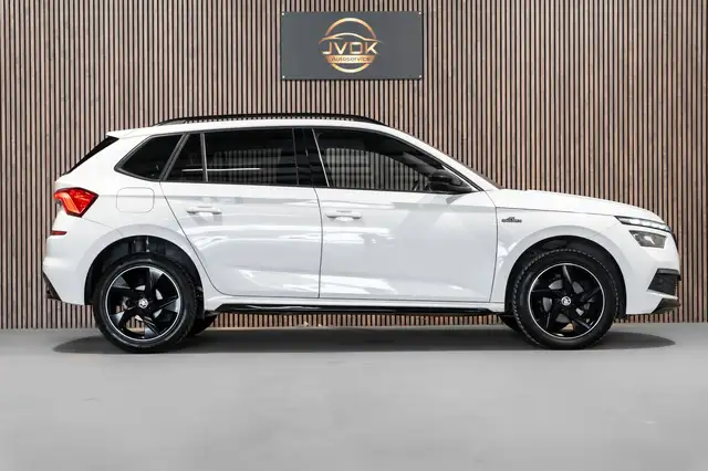 Skoda Kamiq view 8