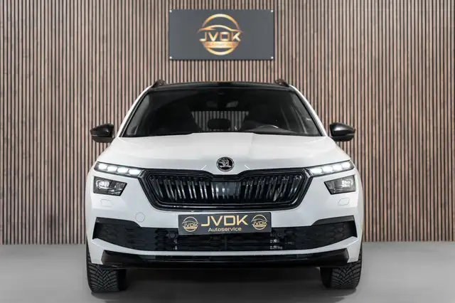 Skoda Kamiq view 2