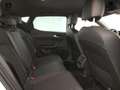 SEAT Leon Leon 1.5 TGI DSG FR Bianco - thumbnail 9