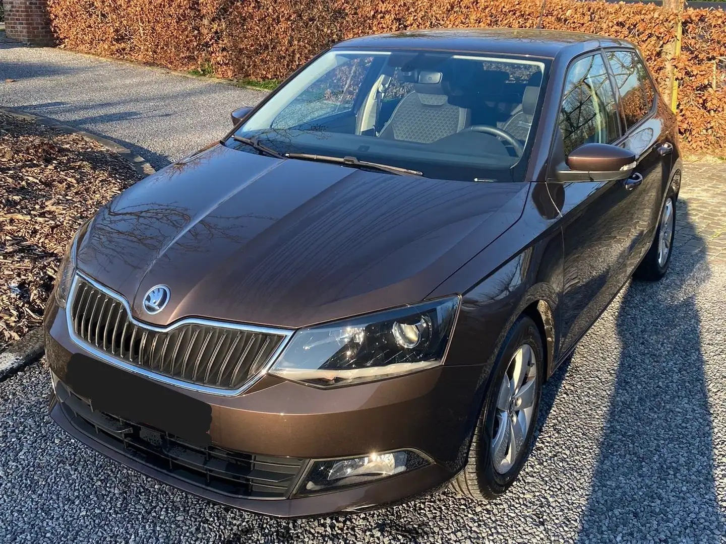 Skoda Fabia 1.2 TSI Style Brun - 1