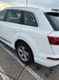 Audi Q7 Q7 3.0 TDI quattro 7p Wit - thumbnail 8