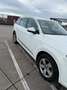 Audi Q7 Q7 3.0 TDI quattro 7p Wit - thumbnail 3