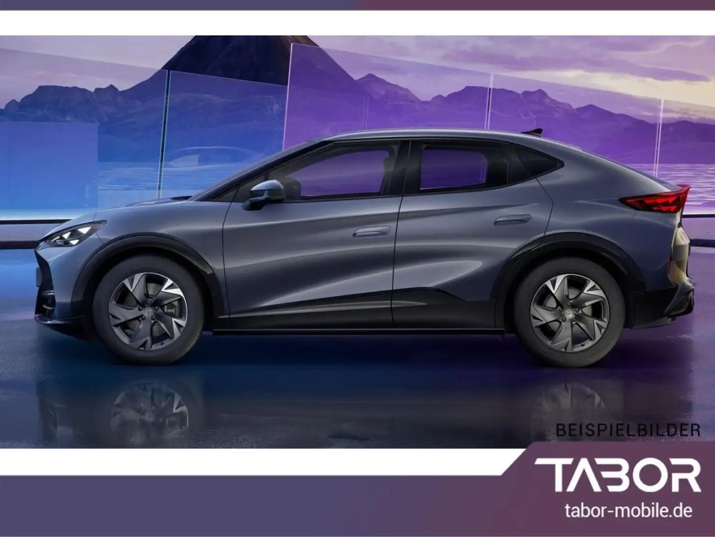 CUPRA Tavascan h Endurance Nav eHK Kam Kessy ACC Blau - 2