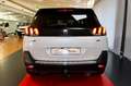 Peugeot 5008 GT ACC·FOCAL·AHK·KEYLESS·EASY-&KINDER-PAK Blanc - thumbnail 5