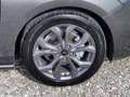 Ford Focus 1.0 ecoboost h ST-Line X 125cv Grigio - thumbnail 5