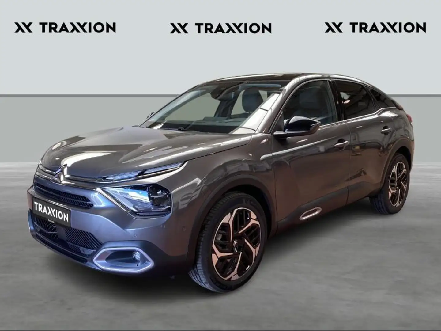 Citroen C4 MAX Gris - 1