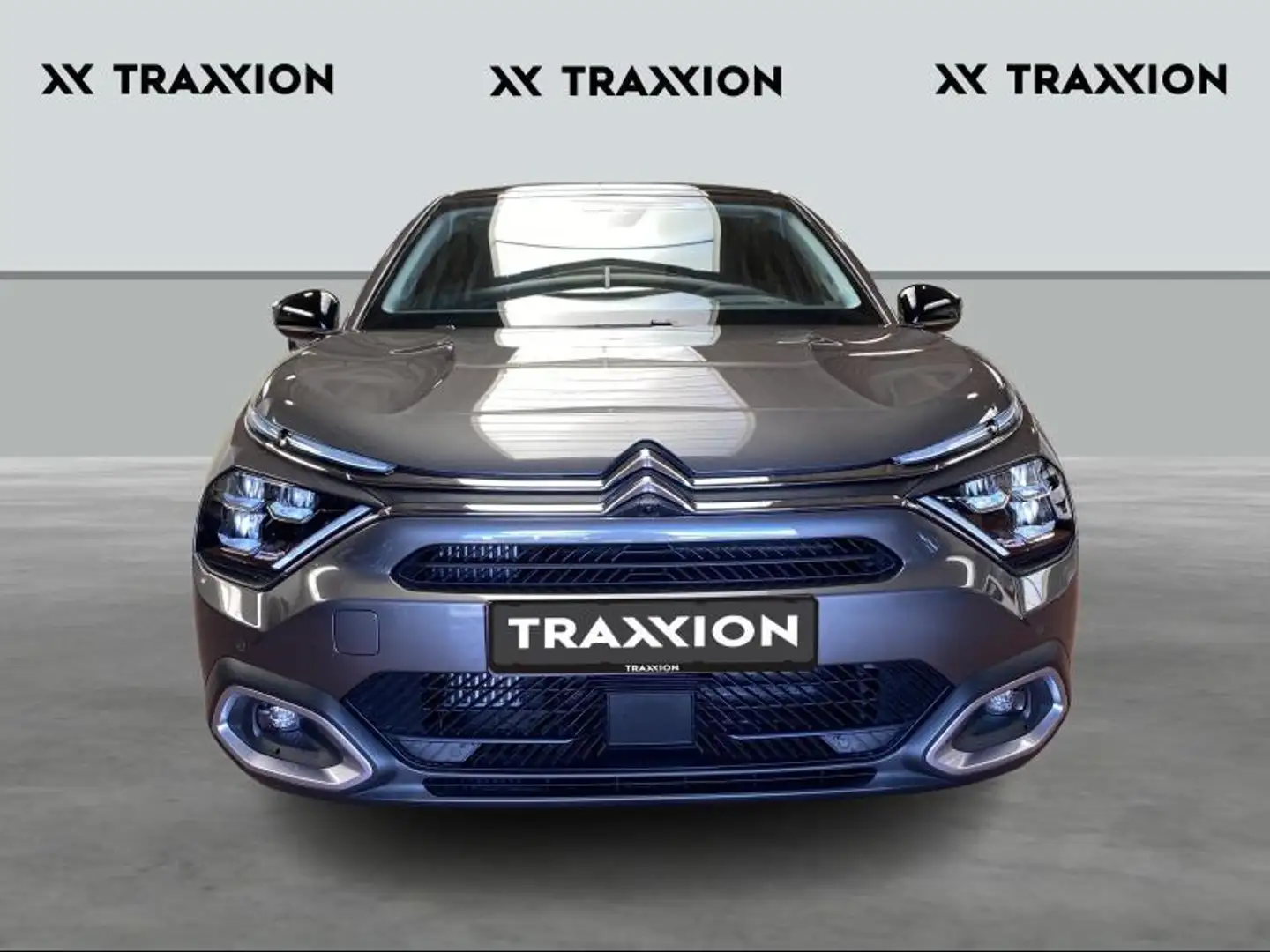 Citroen C4 MAX Gris - 2