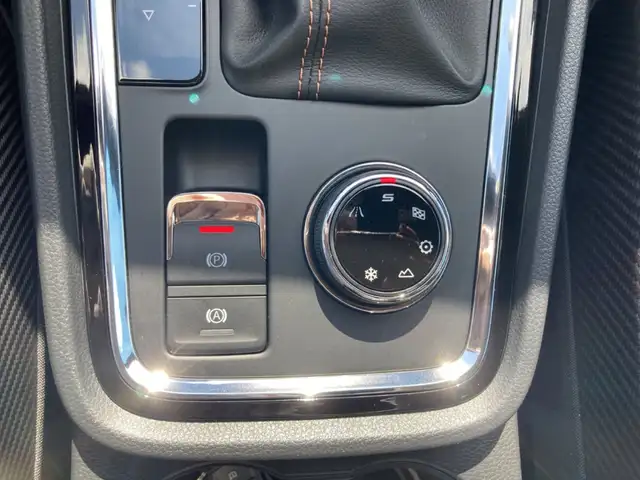 Cupra Ateca view 30