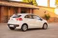 Kia Rio 1.1CRDi WGT Drive Weiß - thumbnail 5