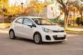 Kia Rio 1.1CRDi WGT Drive Weiß - thumbnail 16