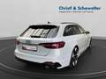 Audi RS4 Competition Plus MATRIX PANO B&O HUD LANE Gris - thumbnail 6