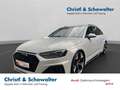 Audi RS4 Competition Plus MATRIX PANO B&O HUD LANE Gris - thumbnail 1