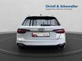 Audi RS4 Competition Plus MATRIX PANO B&O HUD LANE Gris - thumbnail 5