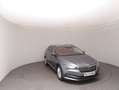 Skoda Superb Style TDI DSG Grau - thumbnail 2