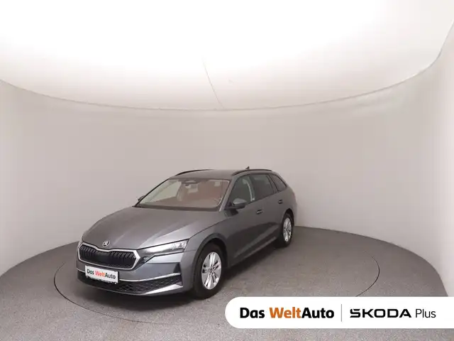 2025 Skoda Octavia in Grey for sale